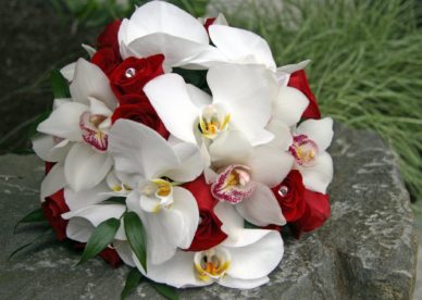ورد أحمر وأبيض انستقرام Red Red & White Wedding Bouquets - صور ورد وزهور Rose Flower images